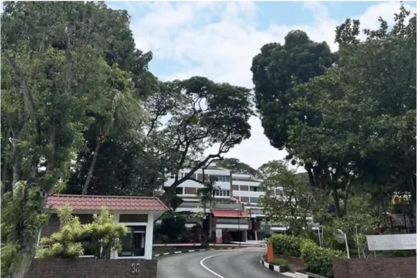 Island View relaunches en bloc sale